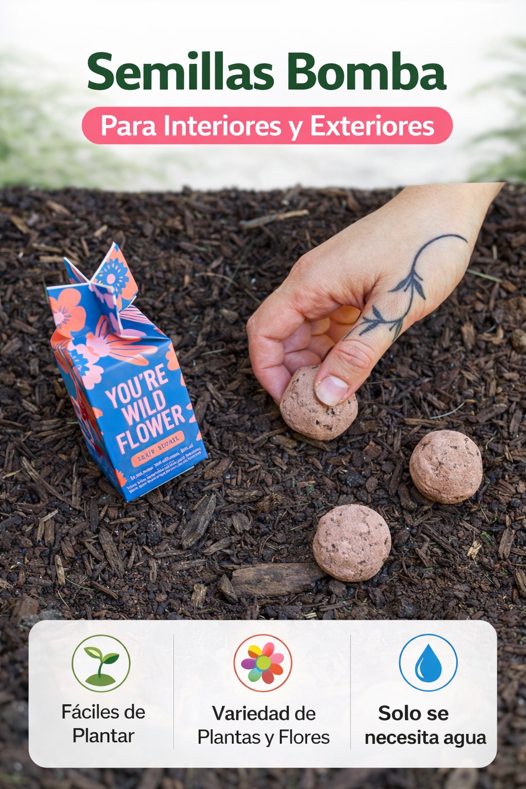 COD 0220 -  SEMILLAS BOMBA PARA INTERIORES O EXTERIORS SUNBURST FLOWER BOMB